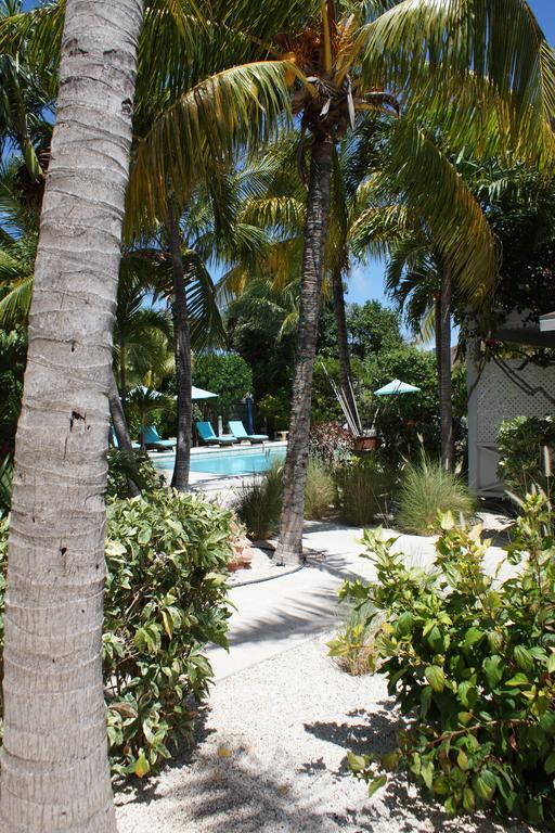 Caribbean Paradise Inn Grace Bay Exterior photo