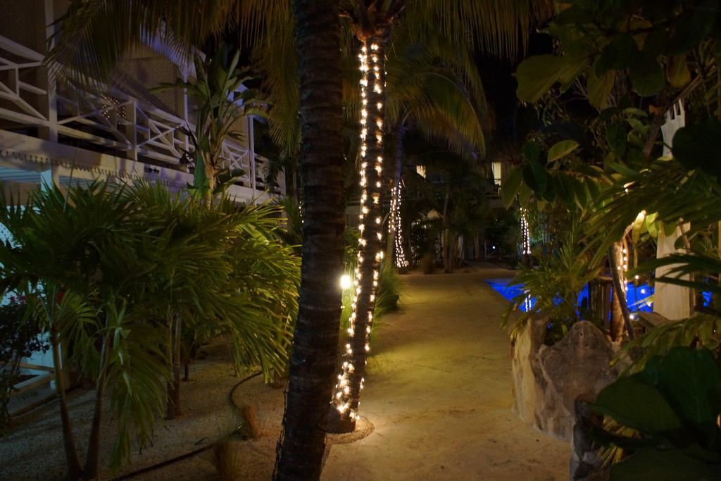 Caribbean Paradise Inn Grace Bay Exterior photo